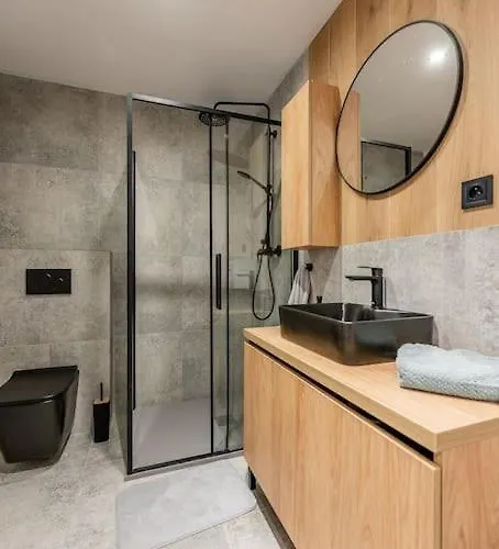 V Centre Timonova Apartman *